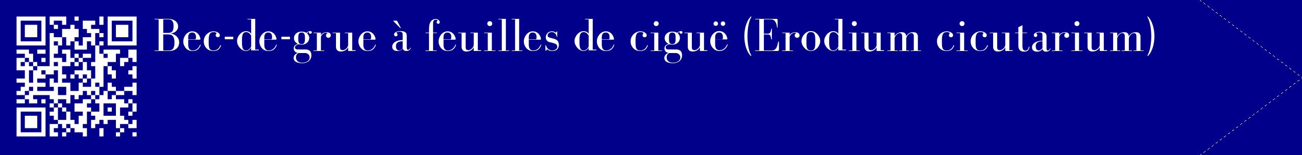 étiquette 2