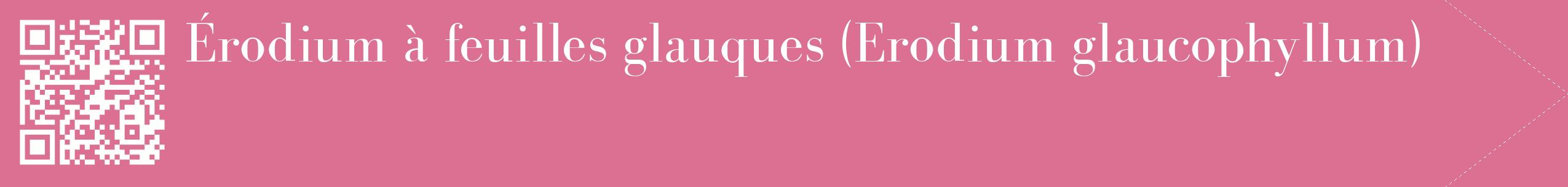 étiquette 2