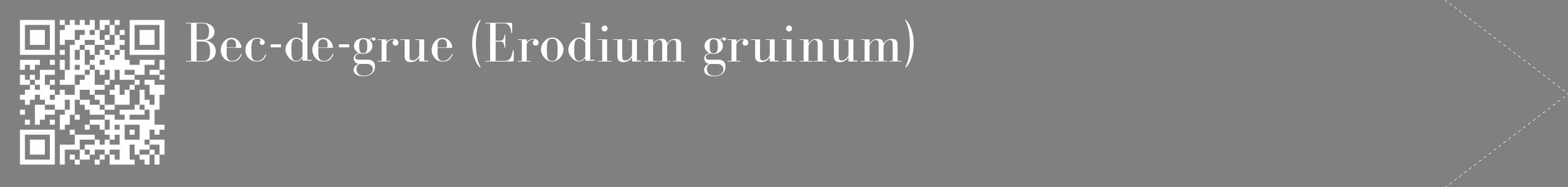 étiquette 2