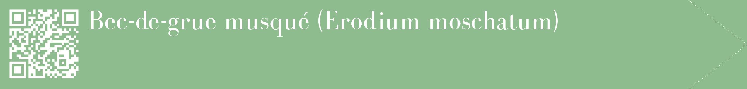 étiquette 2