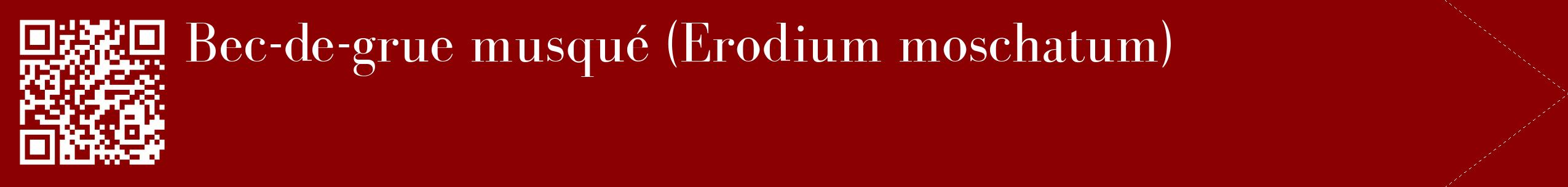 étiquette 2