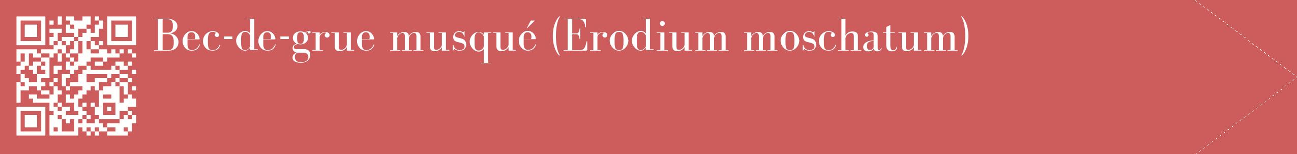 étiquette 2