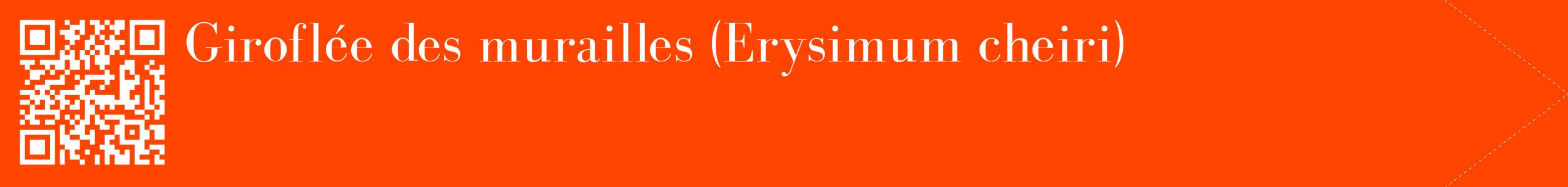 étiquette 2