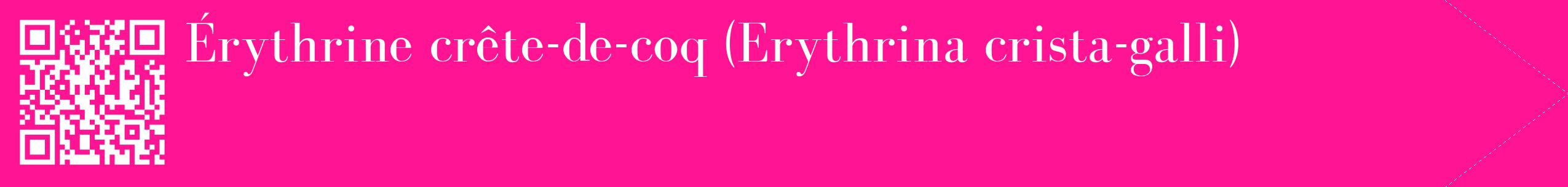 étiquette 2