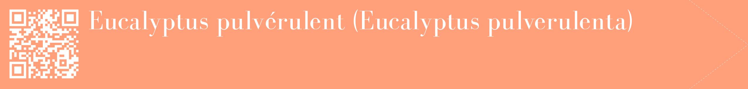 étiquette 2