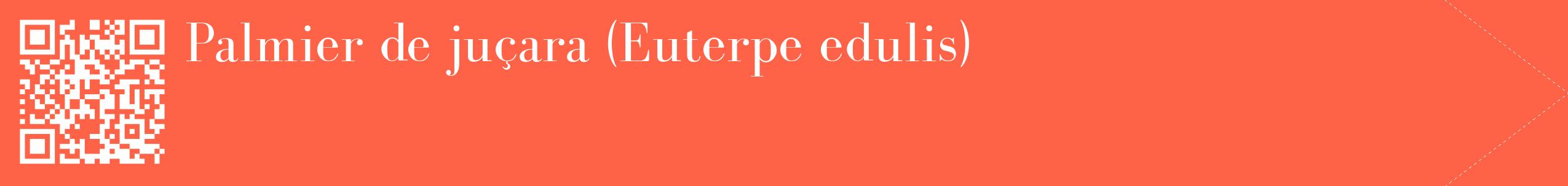 étiquette 2