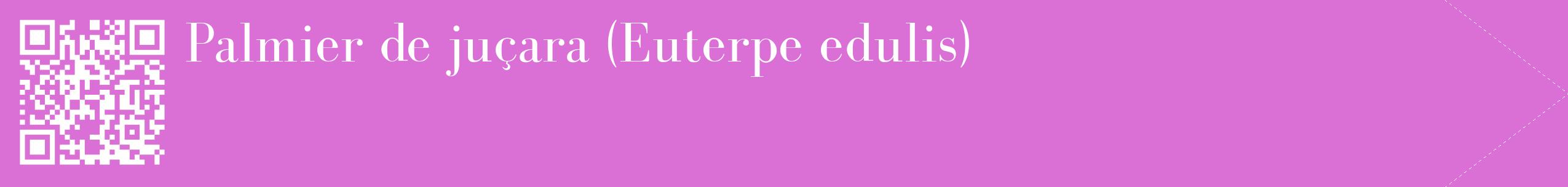 étiquette 2