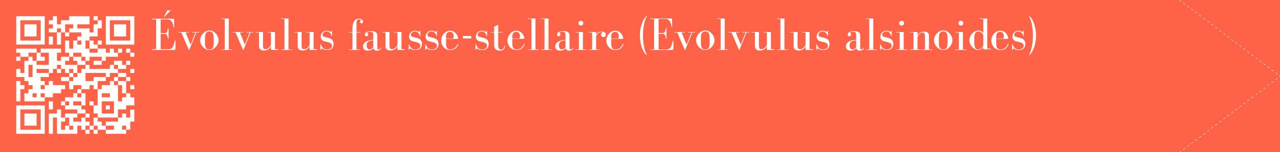 étiquette 2