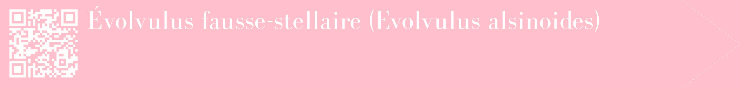 étiquette 2