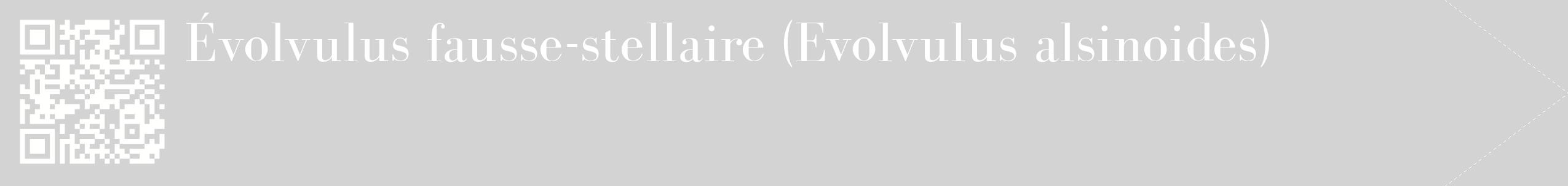 étiquette 2