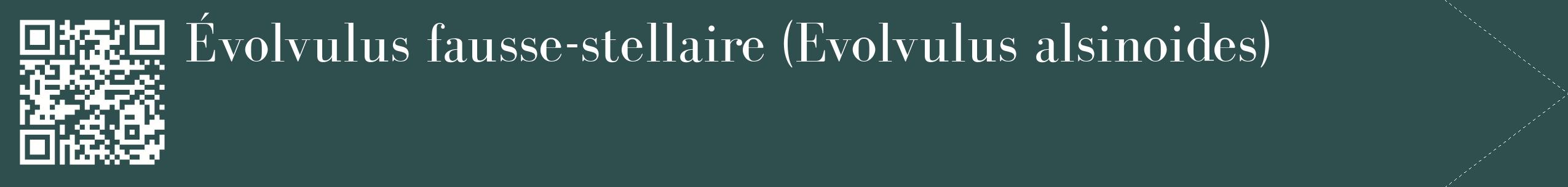 étiquette 2