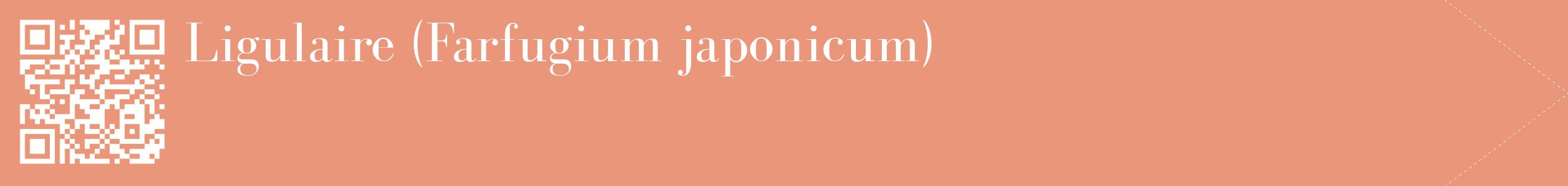 étiquette 2