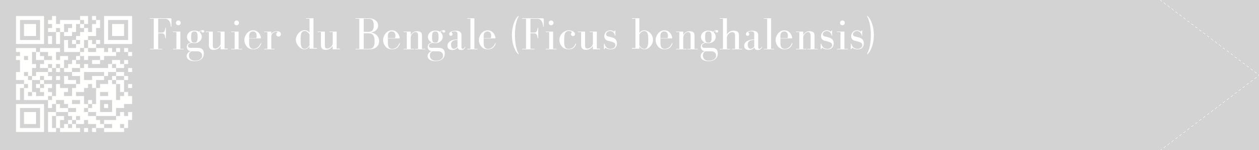 étiquette 2