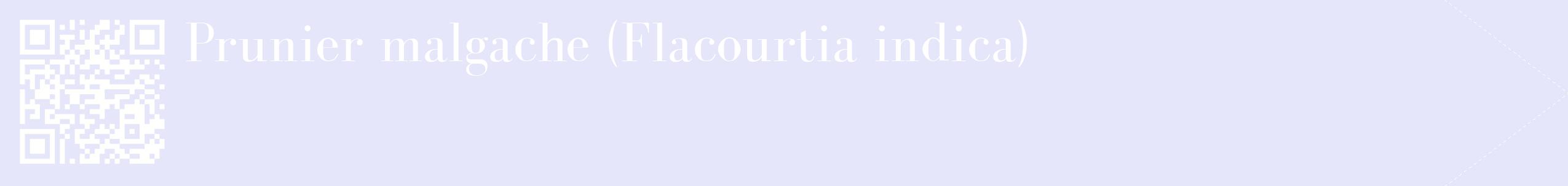 étiquette 2