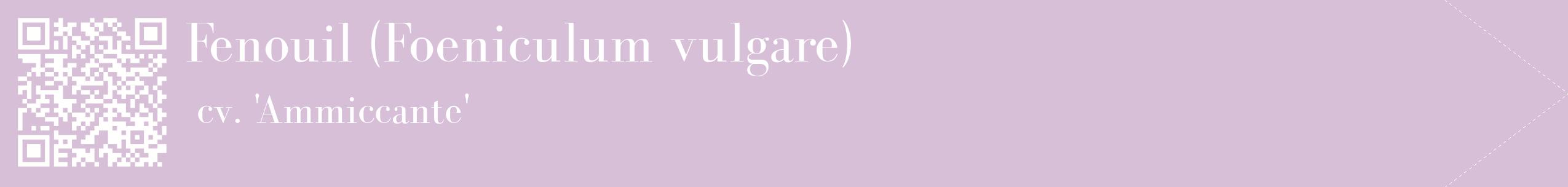 étiquette 2