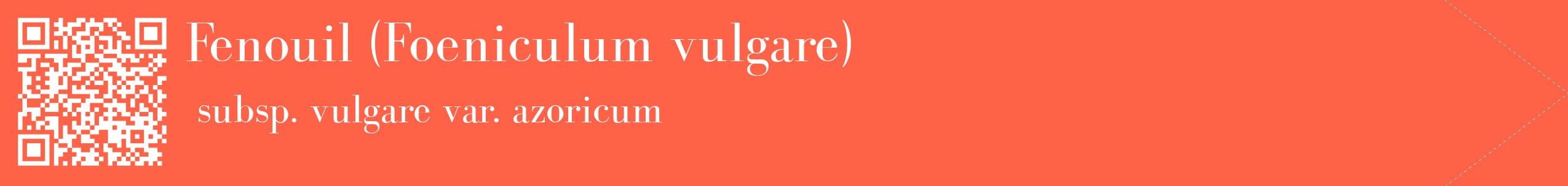 étiquette 2