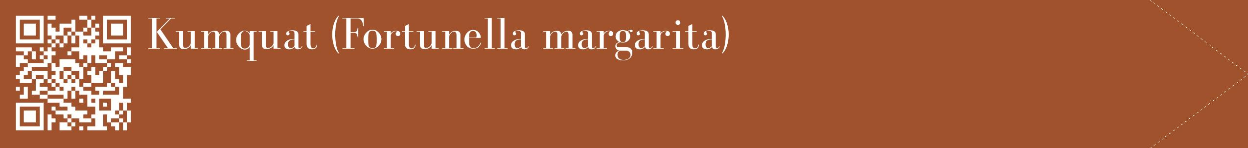 étiquette 2