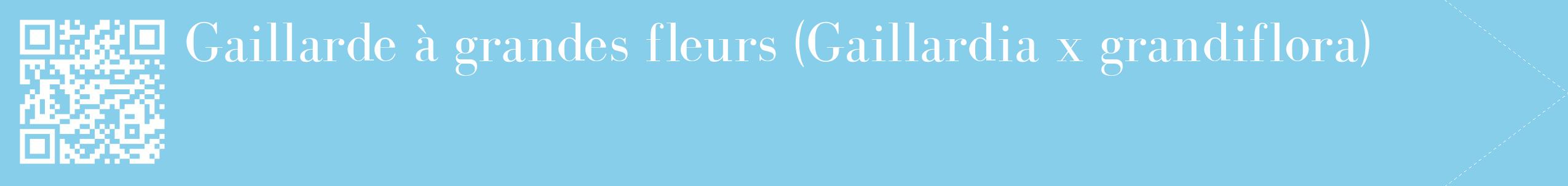 étiquette 2