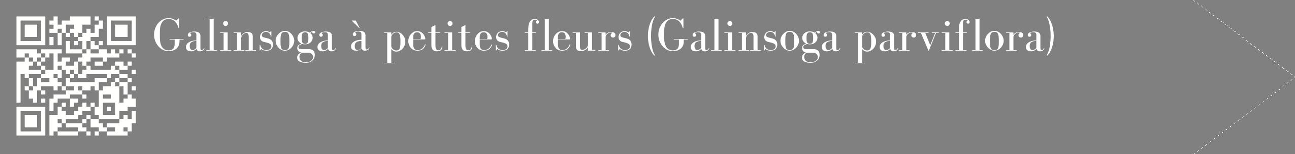 étiquette 2