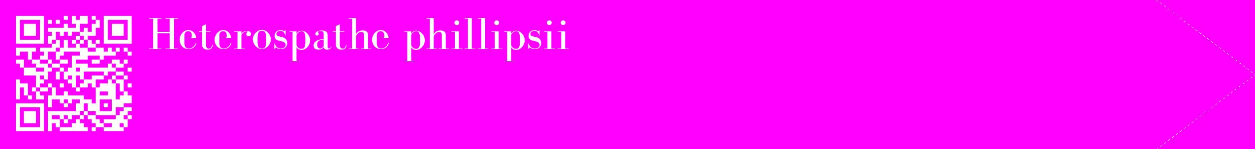 étiquette 2