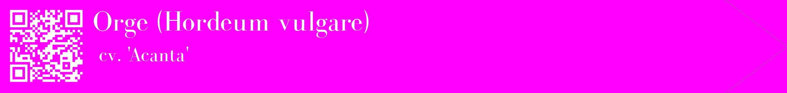 étiquette 2