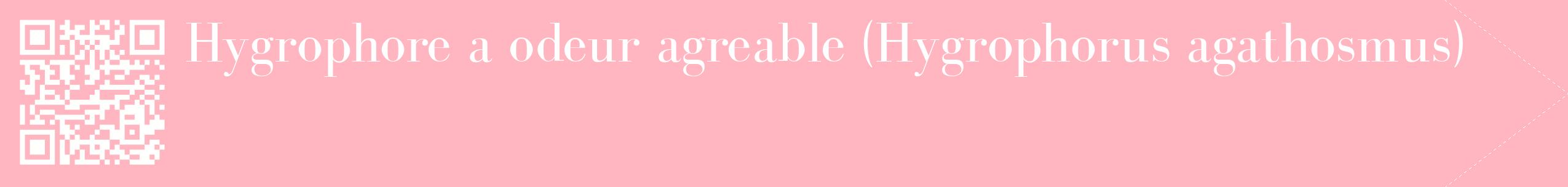 étiquette 2