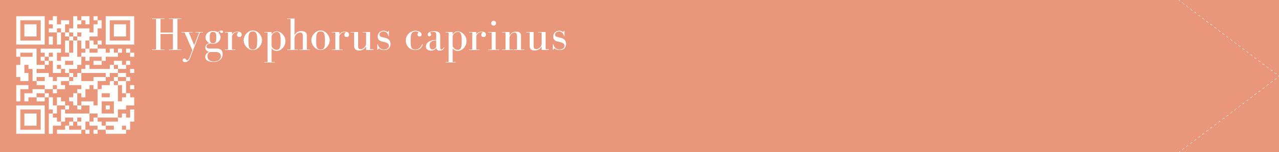 étiquette 2
