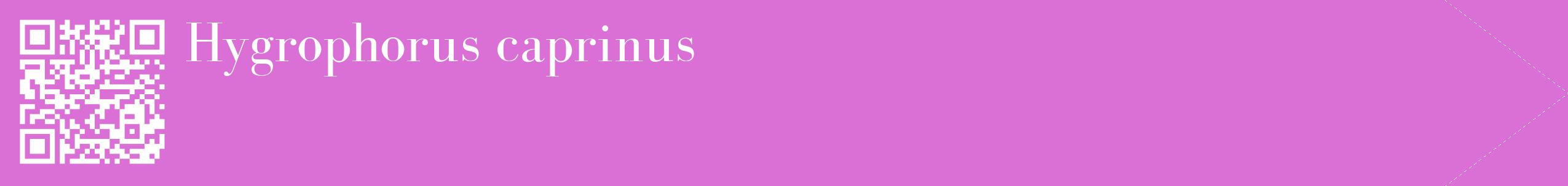 étiquette 2