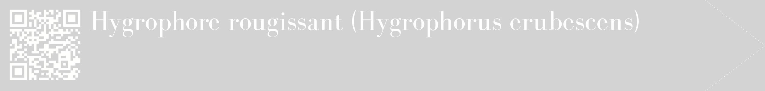 étiquette 2