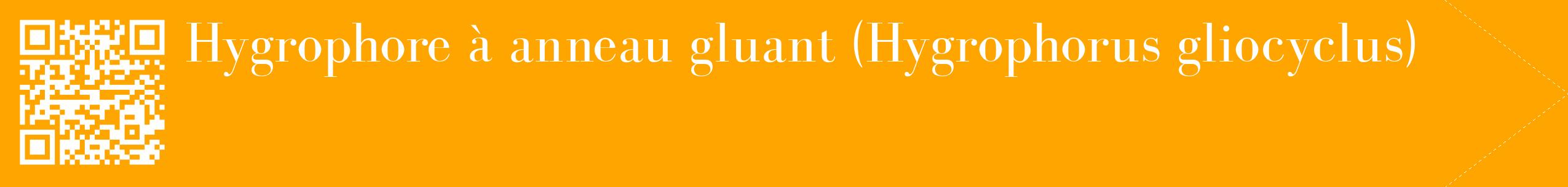 étiquette 2