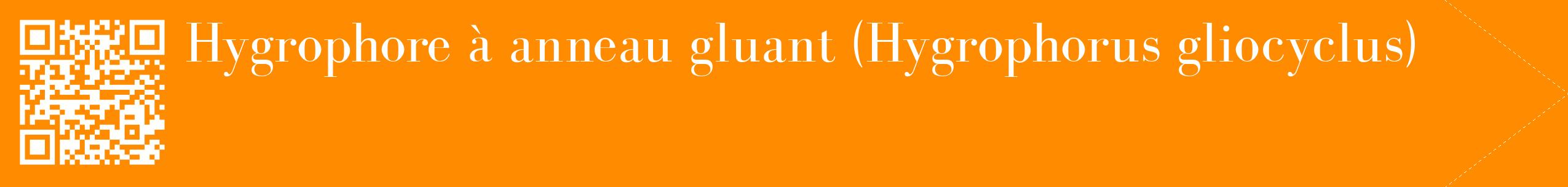 étiquette 2
