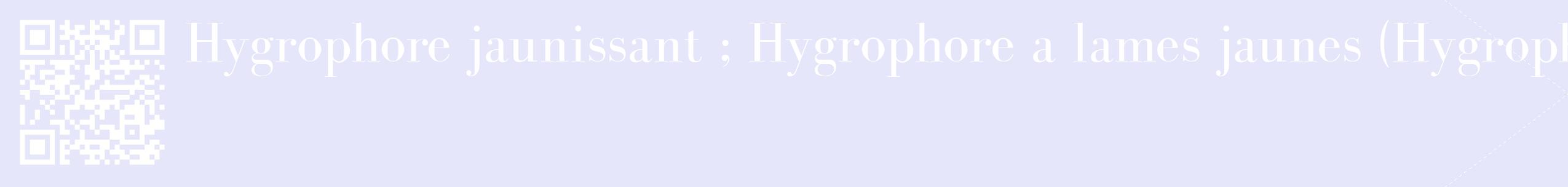 étiquette 2