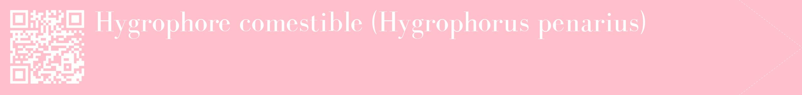étiquette 2