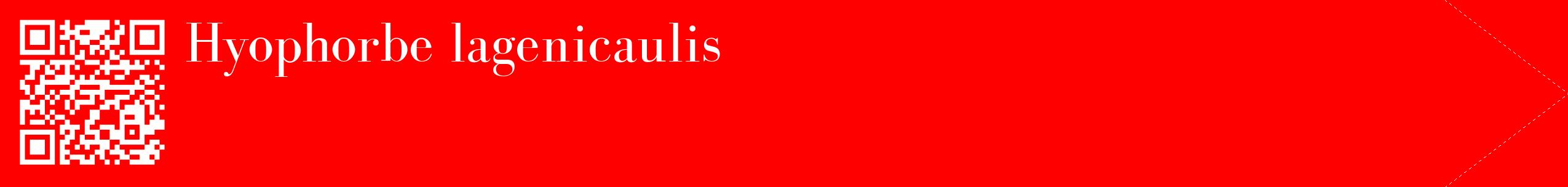 étiquette 2