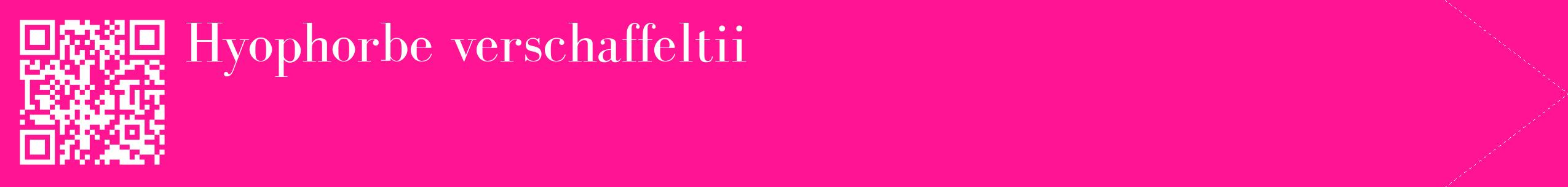 étiquette 2