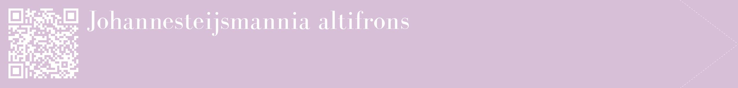 étiquette 2