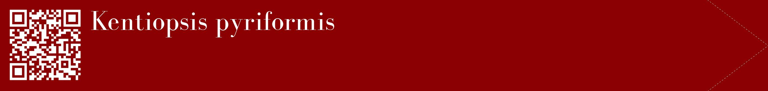 étiquette 2