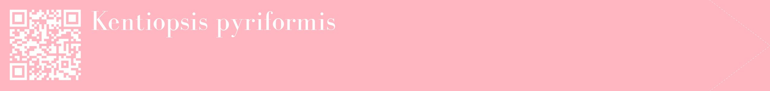 étiquette 2