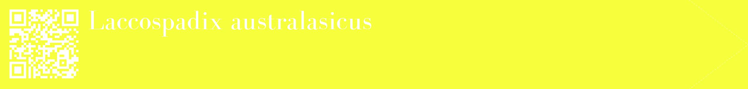 étiquette 2