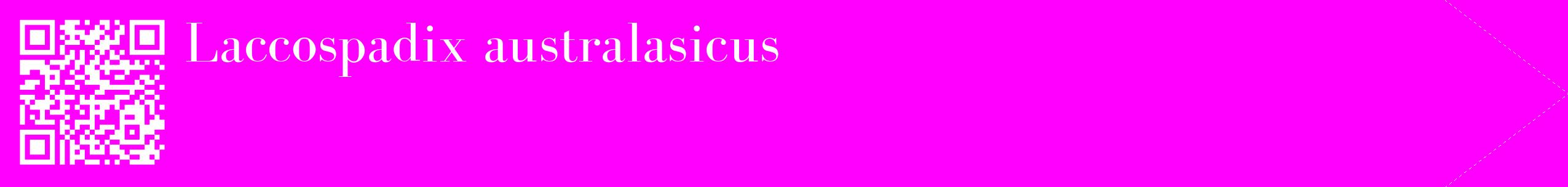 étiquette 2