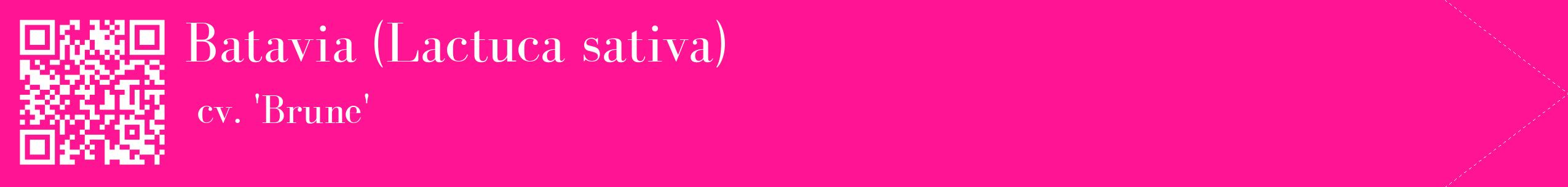 étiquette 2