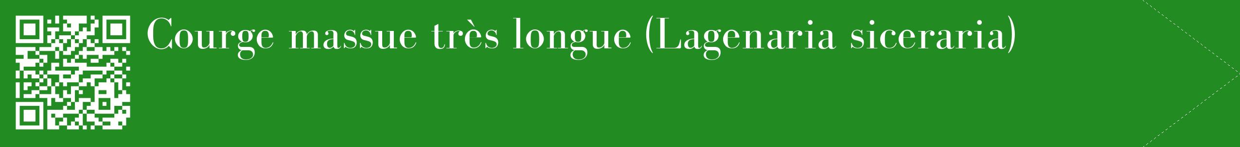 étiquette 2