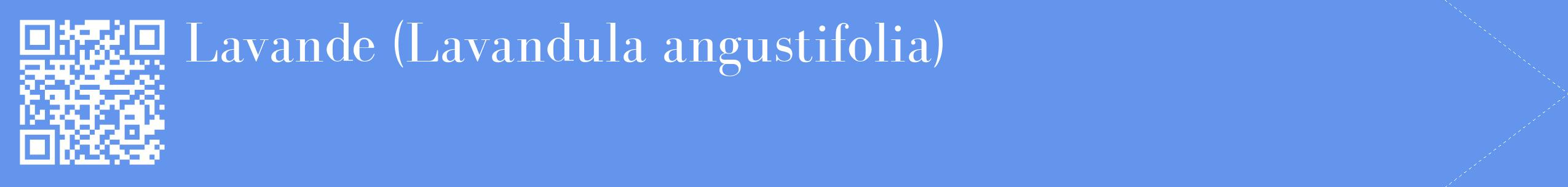 étiquette 2