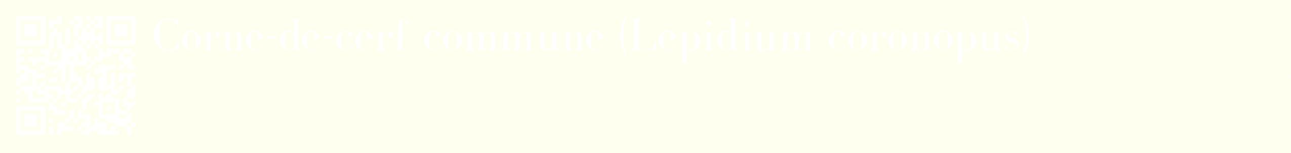étiquette 2