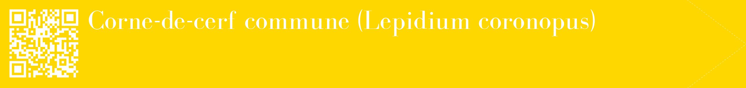 étiquette 2