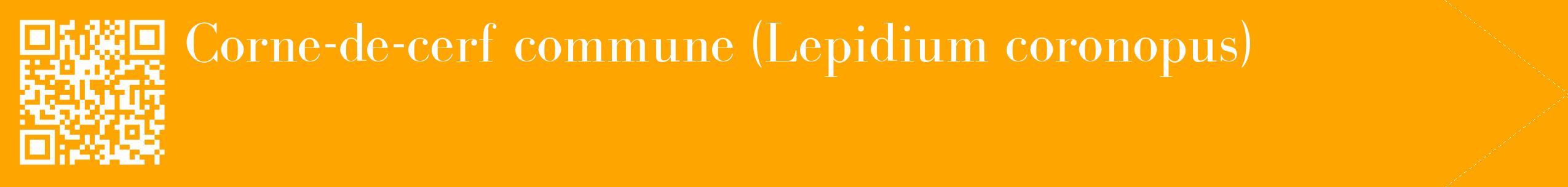 étiquette 2