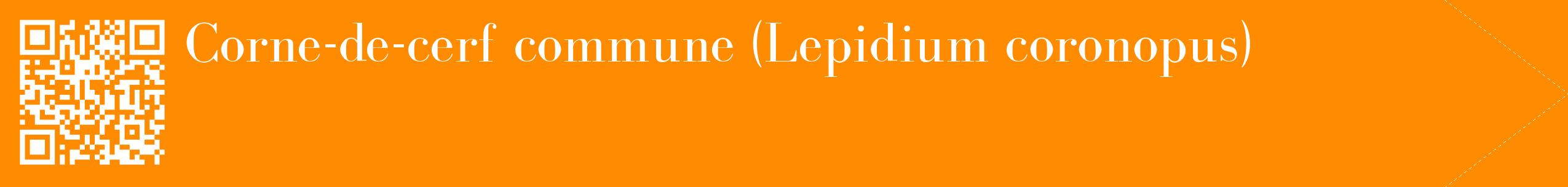 étiquette 2