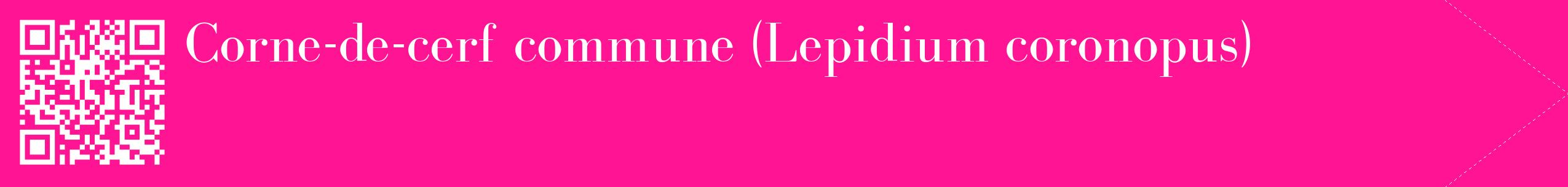 étiquette 2