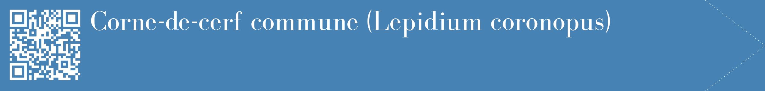 étiquette 2