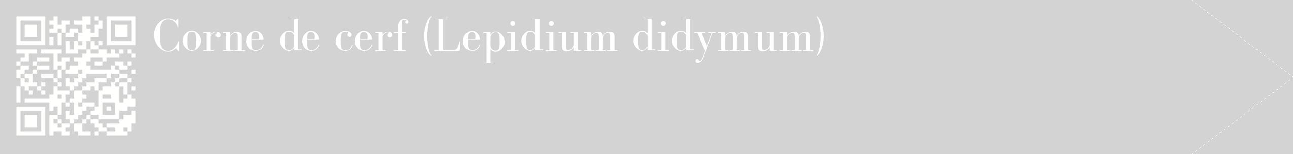 étiquette 2